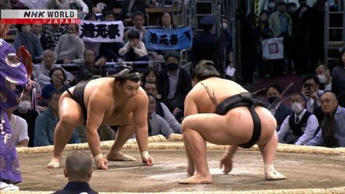 GRAND SUMO Highlights Season 20 Episode 11 - Day 11