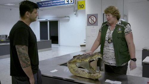 Airport Brazil: Restricted Areas Season 3 Episode 9 - Episode 9