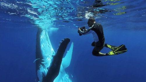 Tales by Light Season 1 Episode 1 - Submerged