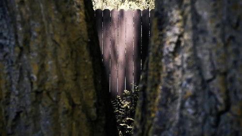 The Devil You Know Season 2 Episode 2 - Orgone Warrior