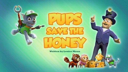 PAW Patrol Season 6 Episode 9 - Pups Save the Honey