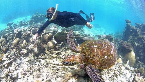 Ningaloo Nyinggulu Season 1 Episode 1 - Collisions