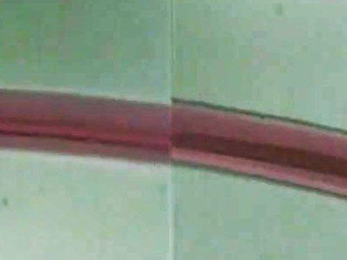 Forensic Files Season 2 Episode 1 - The Common Thread