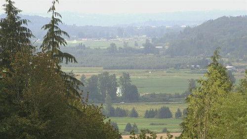 Homicide for the Holidays Season 1 Episode 2 - Christmas Carnage in Carnation