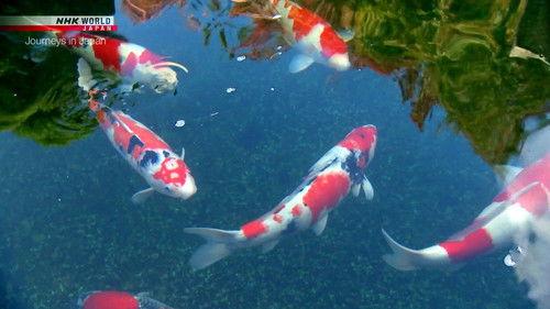 Journeys in Japan Season 11 Episode 25 - Ojiya: Deep Roots in Snow Country