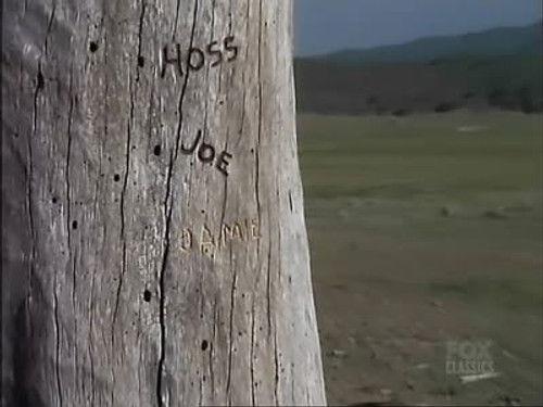 Bonanza Season 13 Episode 1 - The Grand Swing