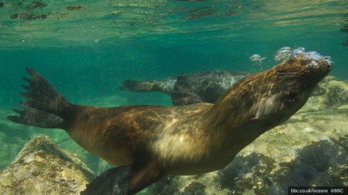 Cold Squad Season 6 Episode 7 - Back in the Day