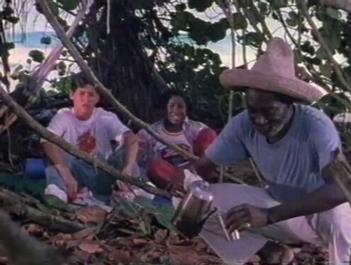 Runaway Bay Season 2 Episode 8 - Turtles Rule