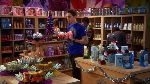 The Big Bang Theory Season 2 Episode 11 - The Bath Item Gift Hypothesis