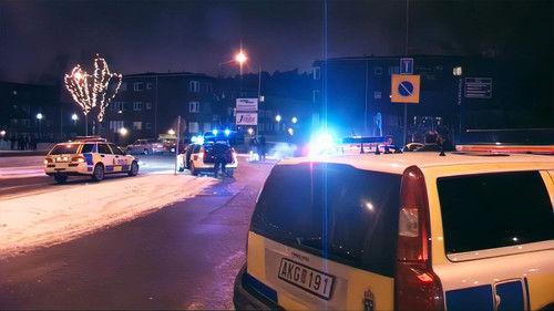 Svenska fall Season 11 Episode 1 - Episode 1