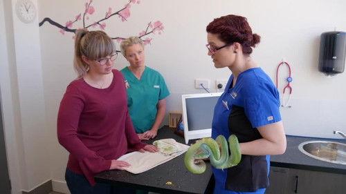 Bondi Vet: Coast to Coast Season 1 Episode 5 - Boo-hoo Roo