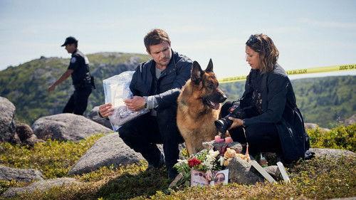 Hudson & Rex Season 3 Episode 6 - Endless Summer