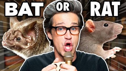 Good Mythical Morning Season 22 Episode 9 - Makes These Sounds With Just Your Mouth (Guessing Game)