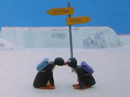 Pingu Season 2 Episode 2 - Pingu's Admirer