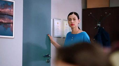 Secrecy of the Investigation Season 22 Episode 13 - Episode 13