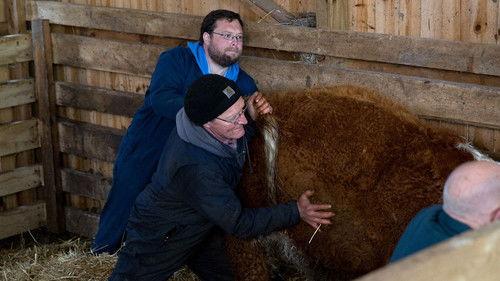 The Incredible Dr. Pol Season 6 Episode 5 - Slop, Drop and Pol