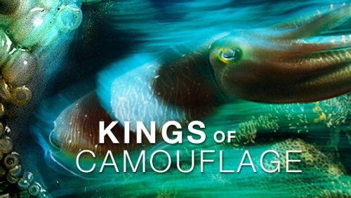NOVA Season 34 Episode 10 - Kings of Camouflage