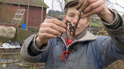 Frank & Kastaniegaarden Season 16 Episode 3 - Episode 3