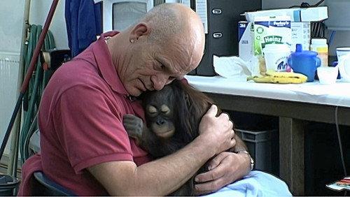 Monkey Business Season 9 Episode 11 - Episode 11