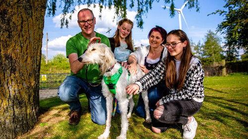 The Dog House Season 5 Episode 5 - Episode 5