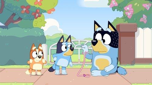 Bluey Season 1 Episode 50 - Shaun