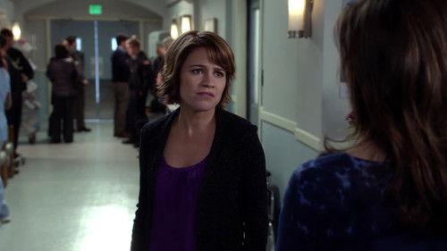 CSI: NY Season 9 Episode 12 - Civilized Lies