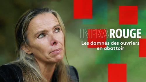 Infrarouge Season 15 Episode 16 - Episode 16