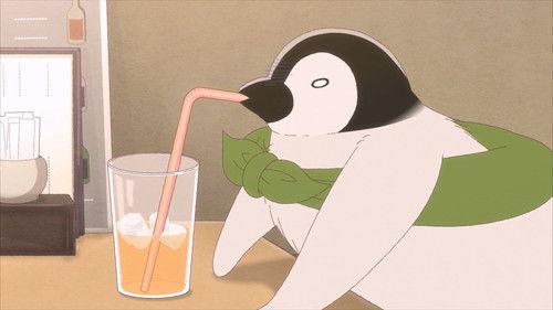 Welcome, Chitose-chan Season 1 Episode 17 - Episode 17