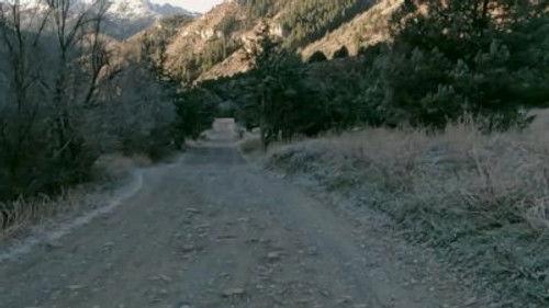 See No Evil Season 14 Episode 4 - The Dog Knows