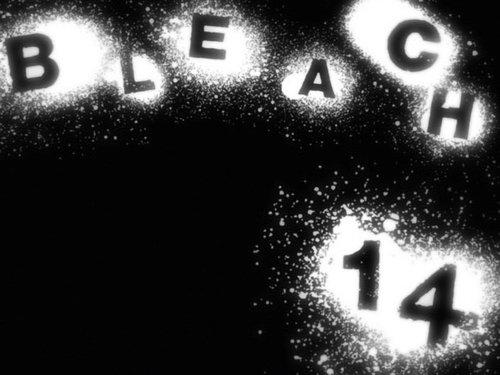 Bleach Season 1 Episode 14 - Back to Back, a Fight to the Death!
