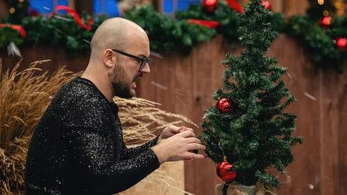 24 stjerners julekalender Season 1 Episode 23 - Episode 23