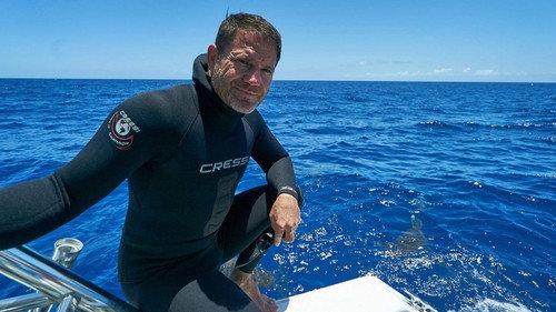 Shark with Steve Backshall Season 1 Episode 1 - Sharks of the Atlantic Ocean