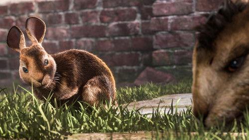 Watership Down Season 1 Episode 2 - The Escape and the Siege