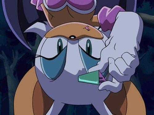 Sonic X Season 1 Episode 11 - Fly Spy