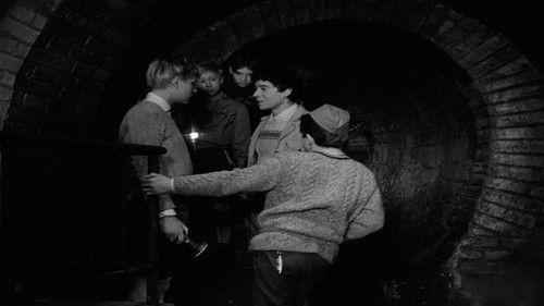 Záhada hlavolamu Season 1 Episode 8 - Episode 8