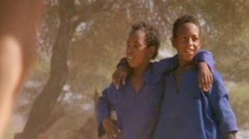 Nature Season 20 Episode 2 - Africa: Desert Odyssey