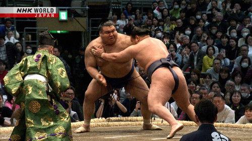 GRAND SUMO Highlights Season 28 Episode 8 - Day 8
