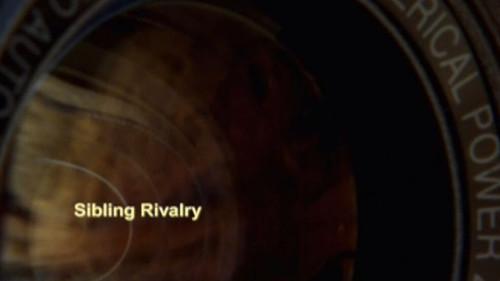 Meerkat Manor Season 3 Episode 6 - Sibling Rivalry