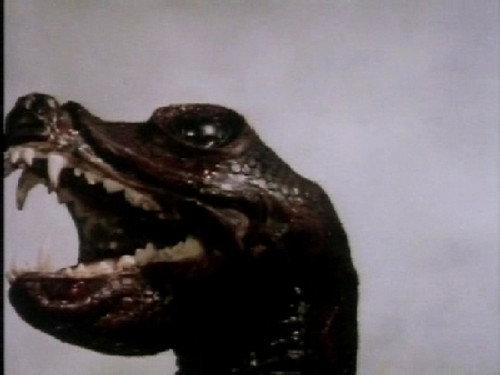 Doctor Who Season 13 Episode 3 - Terror of the Zygons (3)