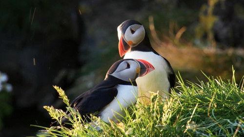 ZDFinfo – die Einzeldokus Season 2025 Episode 1 - Episode 1