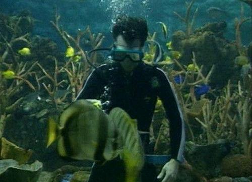 Bill Nye the Science Guy Season 3 Episode 15 - Fish