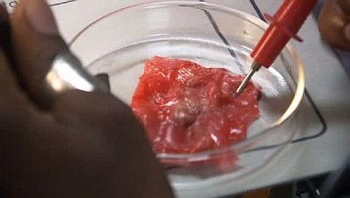 Odyssey 5 Season 1 Episode 14 - Skin