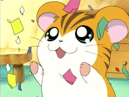Hamtaro Season 1 Episode 9 - Much Ado About School!