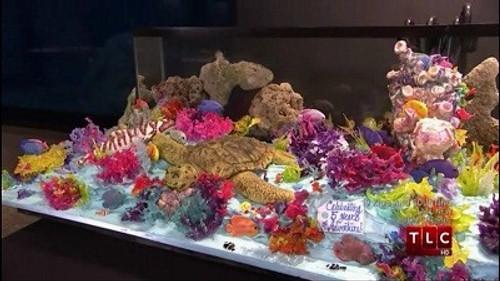 Cake Boss Season 2 Episode 17 - Aquarium Adventures & An Announcement