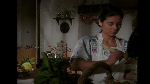 Corazón salvaje Season 1 Episode 24 - Episode 24