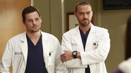 Grey's Anatomy Season 9 Episode 14 - The Face of Change