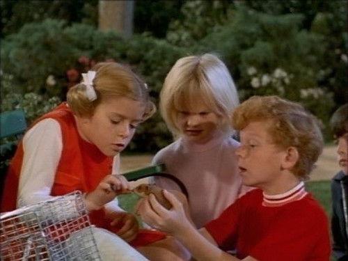 Family Affair Season 4 Episode 13 - Goodbye Harold