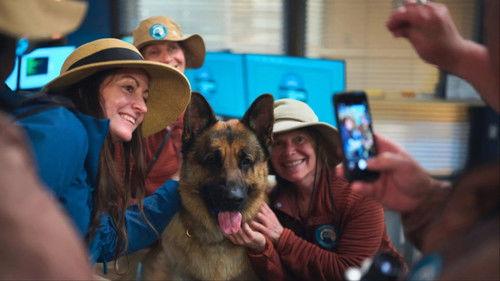 Hudson & Rex Season 8 Episode 11 - Trial by Fire