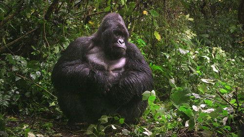 Expedition Volcano Season 1 Episode 2 - Episode 2