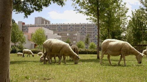 The World in Front Season 11 Episode 24 - Episode 24